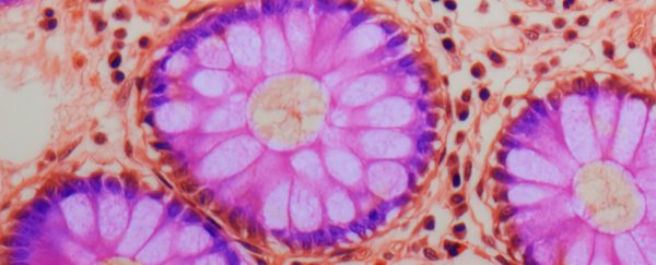 We just got closer to mapping nearly every single cell type in the human body