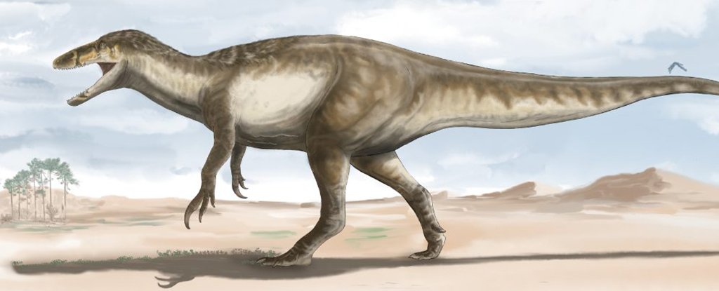 Giant 'Death Shadow' Dinosaur Found in Argentina Is Largest Megaraptor on Record