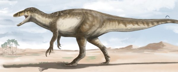 Giant 'Death Shadow' Dinosaur Found in Argentina Is Largest Megaraptor On Record