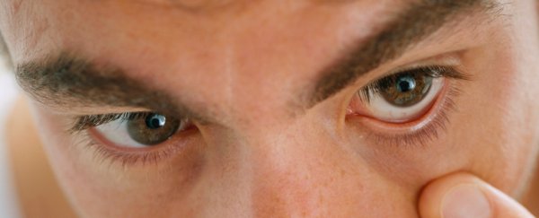 Parasite Infecting Up To 50% of People 'Really Likes The Retina', Scientists Say