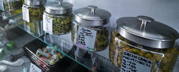 What's in your pot? Huge US study determined the safety of current labeling practices