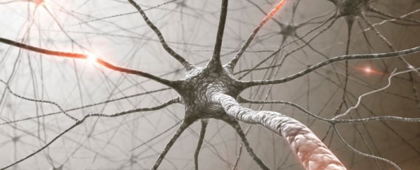 HIV drug helps memories stay connected with age, intriguing mouse study finds