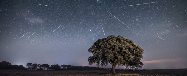 The Eta Aquariid Meteor Shower Is About to Light Up The Skies, Here's How to See It  MeteorShowerWithTreeAtTheFrontOfTheShot_600