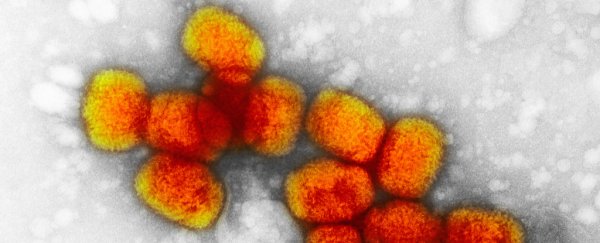 Everything you need to know about monkeypox, and why it's not a cause for fear