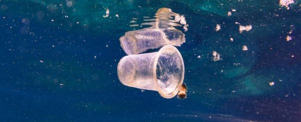 A new enzyme found in compost just set a speed record for breaking down plastic