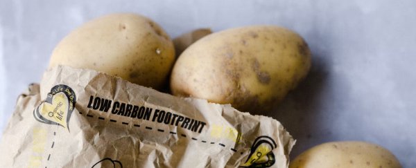 Here's how the 'carbon footprint' should really be used – it's not for shifting blame