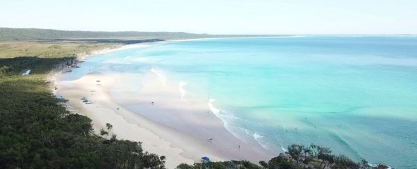 Sea levels are creeping up, but some beaches are getting bigger. Here's why