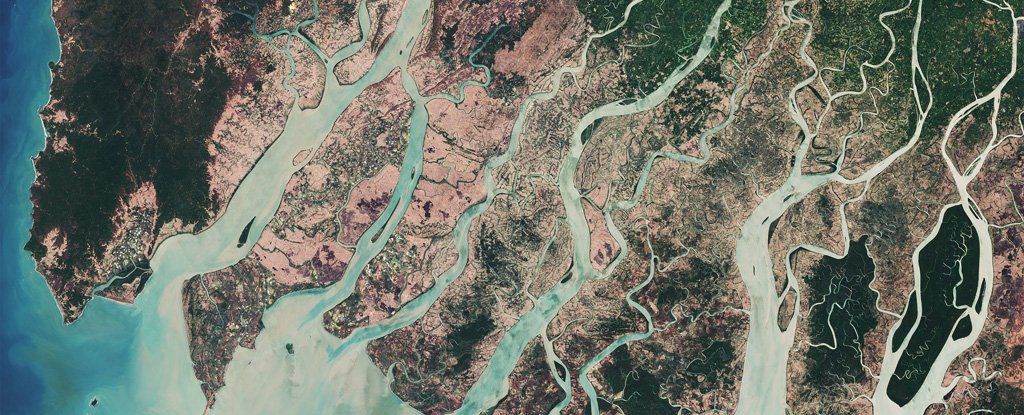 The Irrawaddy River delta in Myanmar. 