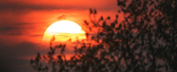 Climate change is a 'game changer' when it comes to heatwaves, say experts