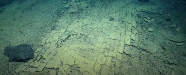 Scientists follow a 'yellow brick road' in a never-before-seen spot of the Pacific Ocean