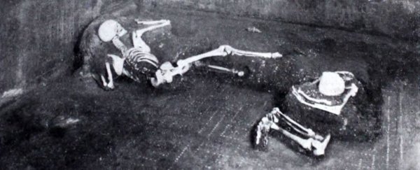 Scientists sequence first human genome from the ruins of ancient Pompeii