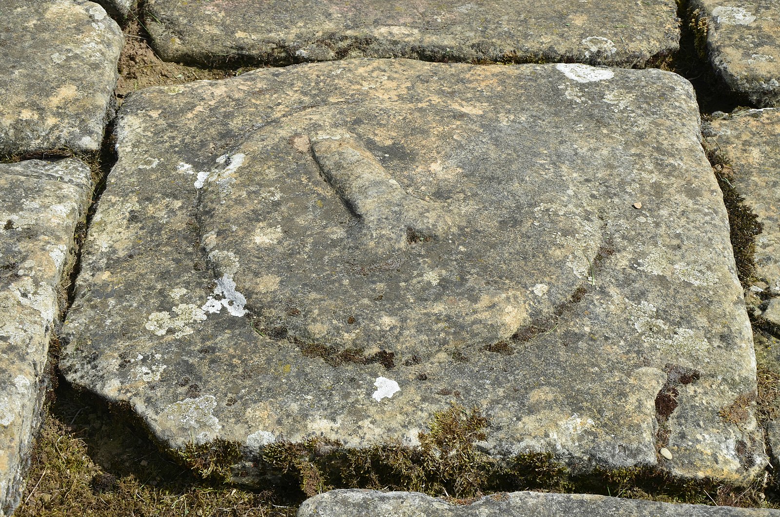A phallus carved on a flagstone near the ceremonial well in the headquarters principia Chesters Roman Fort Cilurnum Hadrians Wall 43845812215