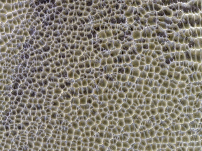 Strange Honeycomb Pattern on Mars Appears to Be Formed by Water Ice And CO2