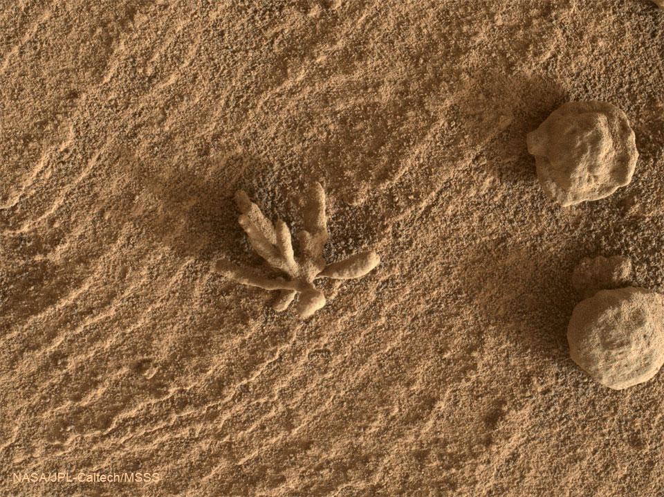 Curiosity Has Found Some Truly Weird-Looking, Twisty Rock Towers on Mars  FlowerRock_Curiosity_960