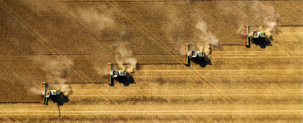 Reducir la contaminación del aire podría ayudarnos a alimentar al mundo más fácilmente.  Así es cómo