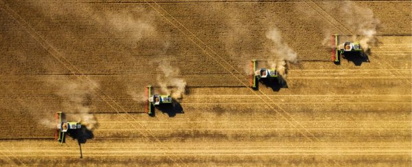 Cutting air pollution could help us feed the world more easily. Here's how