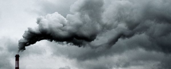 Toxic particles once inhaled may travel directly to the brain, study suggests