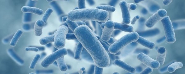 Breeding 2,000 generations of bacteria may have solved this major debate in biology
