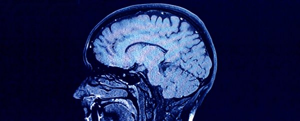 Anorexia can lead to dramatic changes in brain structure, new study shows