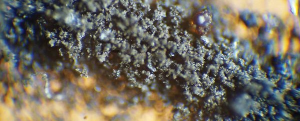 NASA is on a mission to reclaim lost moondust. And some cockroaches
