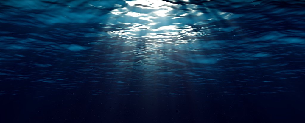 The Deep Ocean Might Store Way Less Carbon Than We Hoped