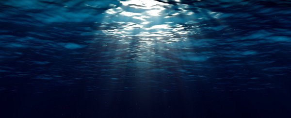 The deep ocean might store way less carbon than we hoped
