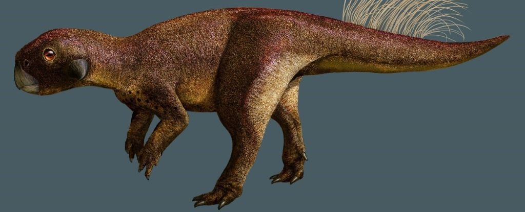 Artistic illustration of Psittacosaurus. 