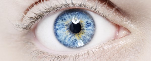 Close up of a blue eye