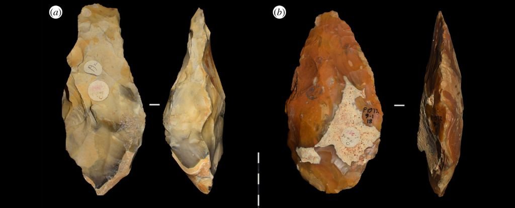 Fordwich handaxes discovered in the 1920s. 