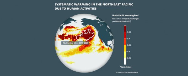 Researchers finally tracked down the source of the deadly Pacific Ocean 'blob'