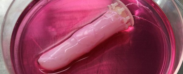 Scientists Have Developed 'Living' Skin For Robots, And It's Quite Something  GrossFleshyFingerShapedDeviceInPinkFluidFilledPetriDish_600