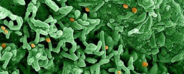 Monkeypox probably spreading under the radar 'for some time', WHO says