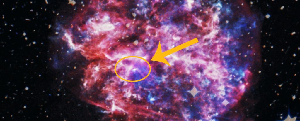 The runaway pulsar in supernova remnant G292.0+1.8. 