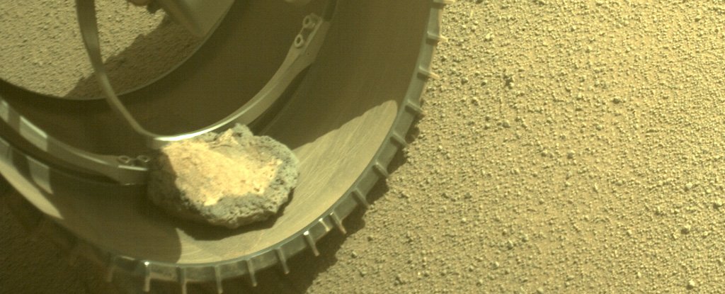A rock in the front left wheel of the Perseverance rover. 