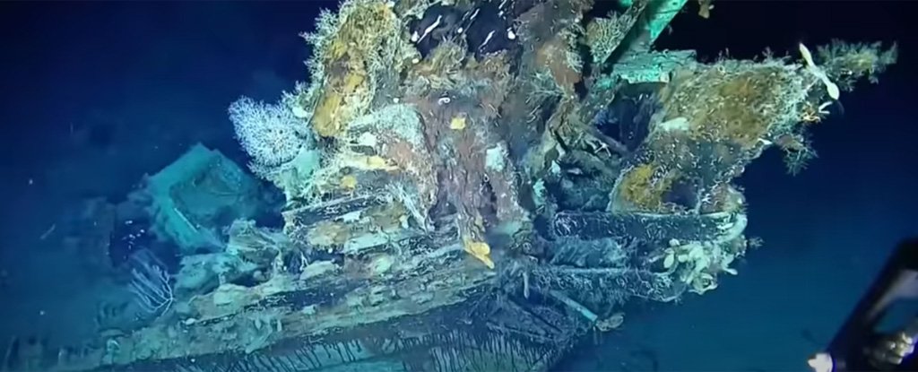 Photo of Shipwreck Has