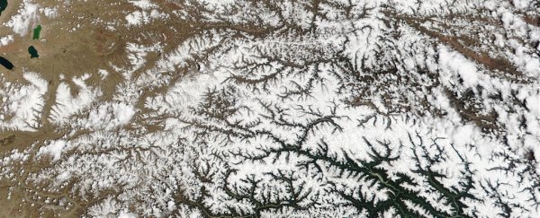 Nearly 1,000 microbe species have just been discovered in 'extreme' Tibetan glaciers