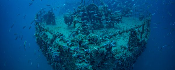 Millions of Shipwrecks Lost to the Ocean Are Changing Life in the Deep Sea