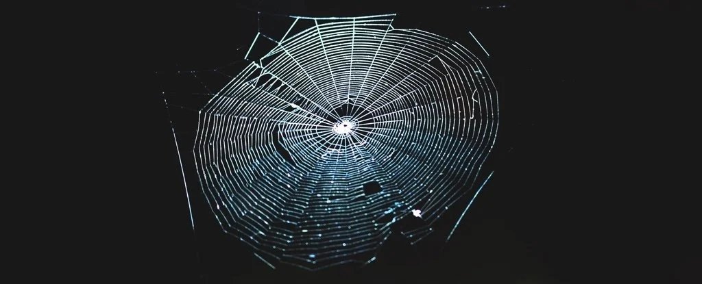 Sogar Spinnweben beherbergen jetzt die penetranteste Plastikverschmutzung