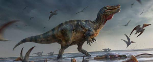 Paleontologists may have found the remains of Europe's largest ever land predator