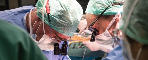 Organ transplant breakthrough shows human liver can survive outside the body for days
