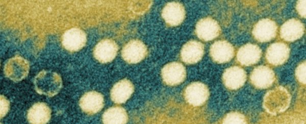  Polio Virus Has Been Detected in London's Sewage  WhiteHazyBlobsOfViralParticlesInYellowAndBlueBackground_600