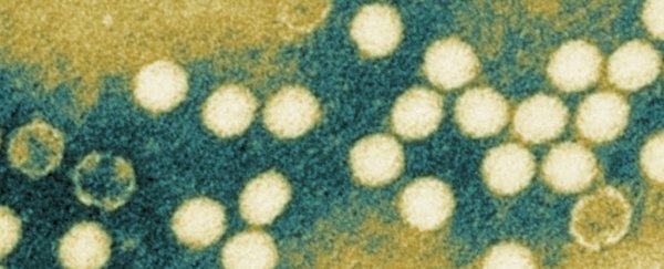 Polio virus has been detected in London's sewage