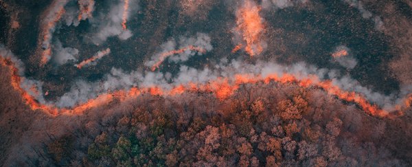 Scientists have found the oldest wildfires on record, dating back 430 million years