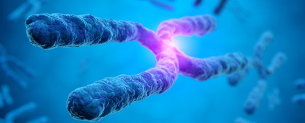 Extra sex chromosomes in men seem to be much more common than we realized