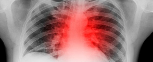 Scientists have 'healed' a heart attack in mice by regenerating muscle cells