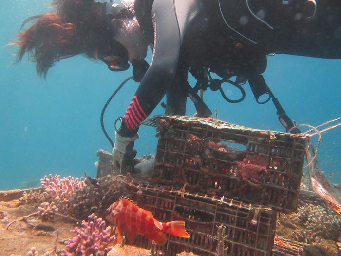 Scientists Have Finally Discovered Why Deep-Sea Corals Glow in The Dark