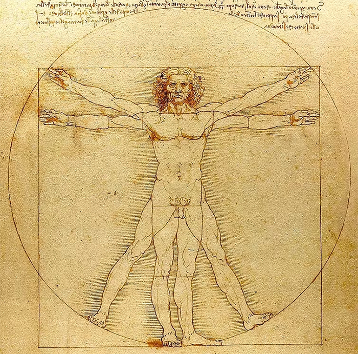 Vitruvian man