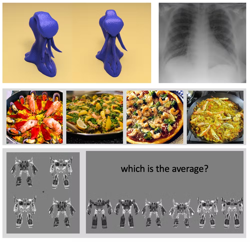  Scientists Have Measured a Perceptual Ability Called 'O'. How Good Is Yours?  Categorisation_images