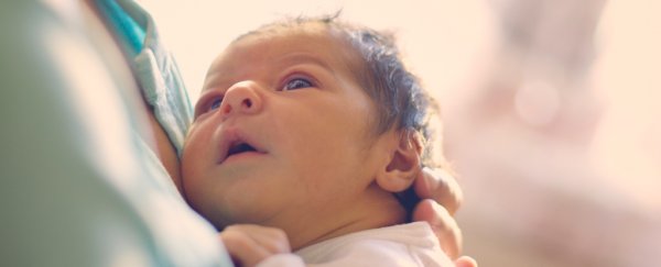 Babies rapidly learn language sounds, even just hours after being born