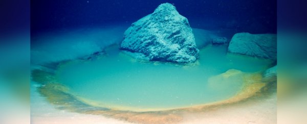 Rare pools hidden deep within the Red Sea can be fatal for those who stray too close